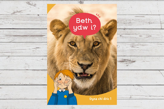 Beth ydw i? (cam 1)