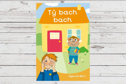 Tŷ bach bach (cam 1)