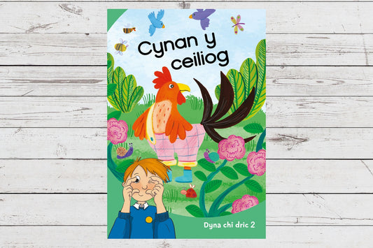 Cynan y ceiliog (cam 2)