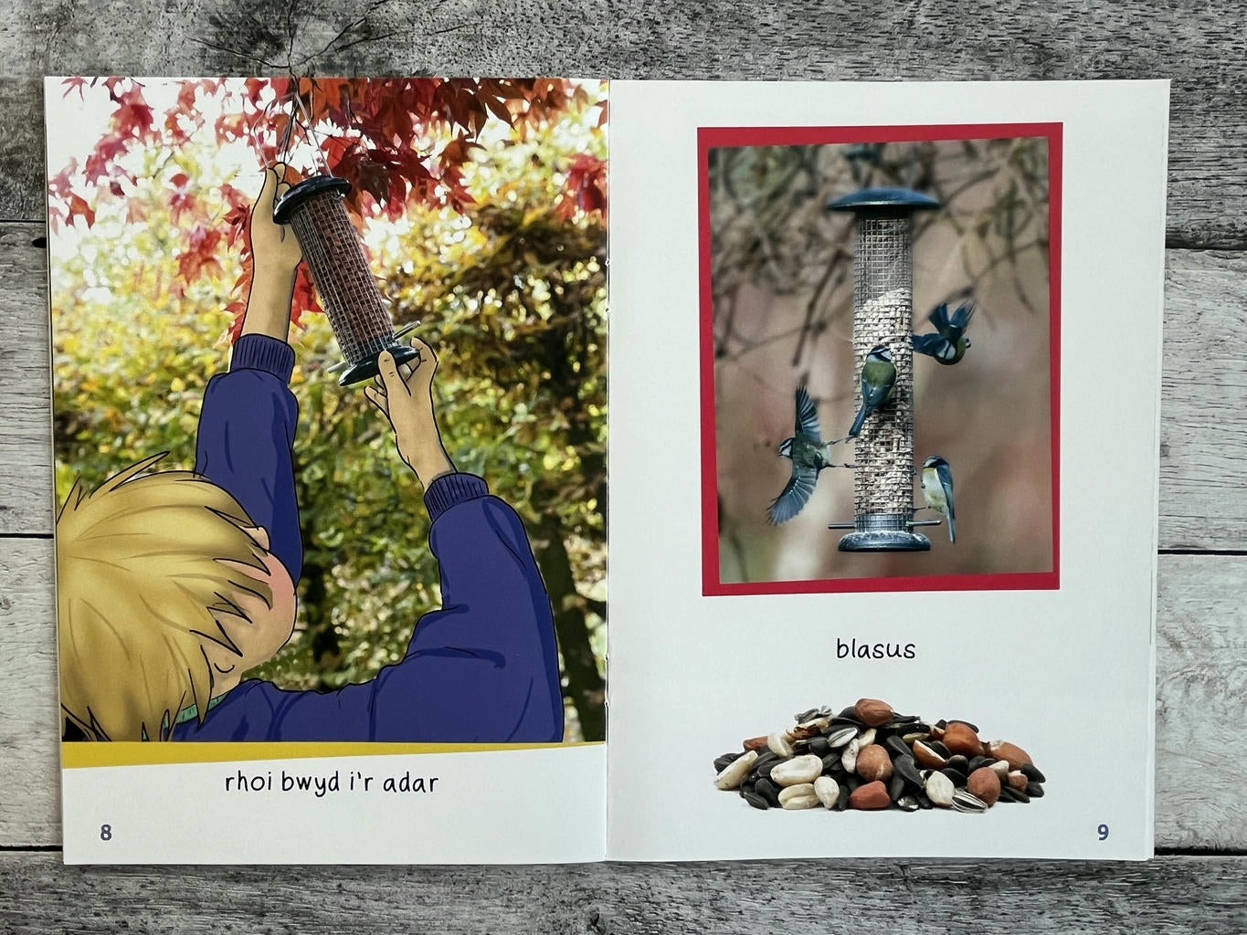 Wyt ti'n gwybod? Adar bach