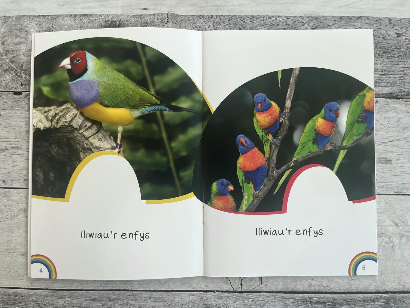 Wyt ti'n Gwybod? Yr Enfys