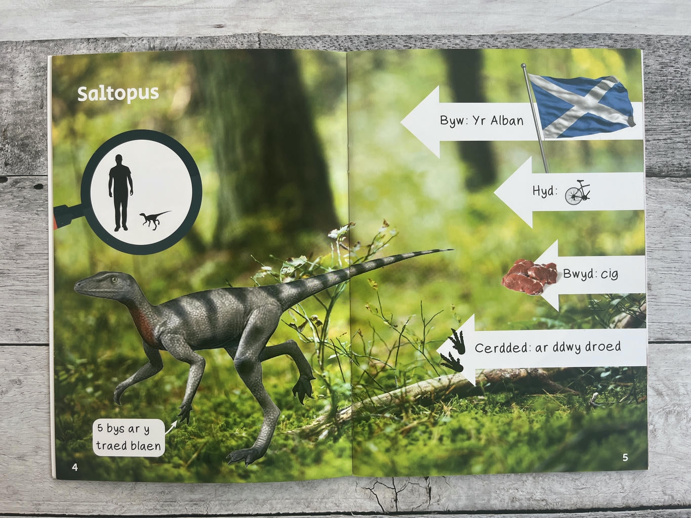 Wyt ti'n gwybod? Deinosoriaid