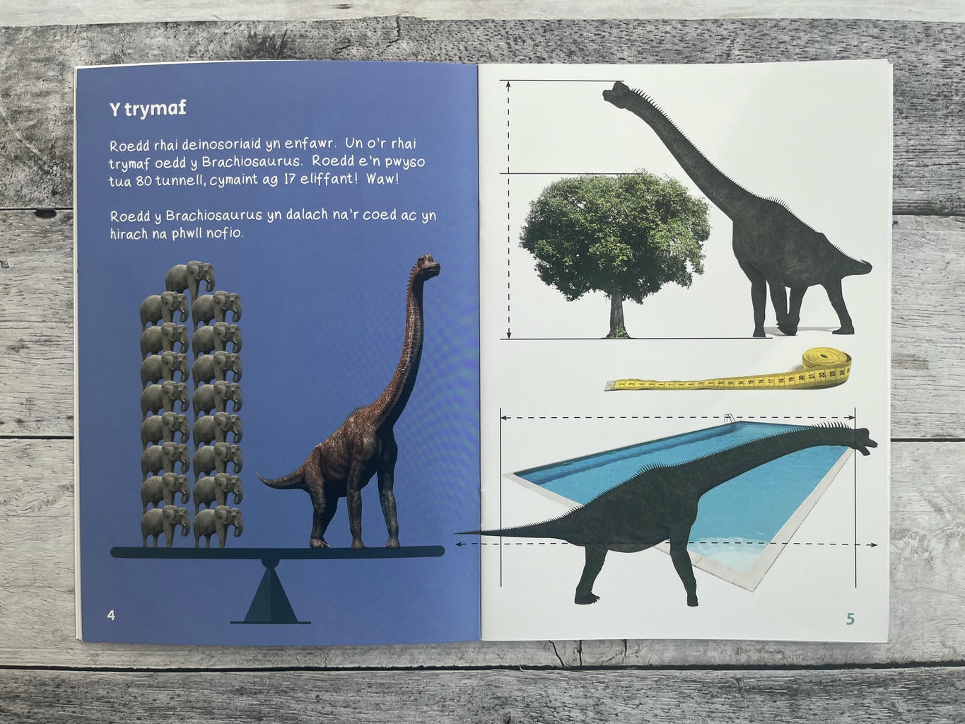 Wyt ti'n Gwybod? Deinosoriaid di-ri