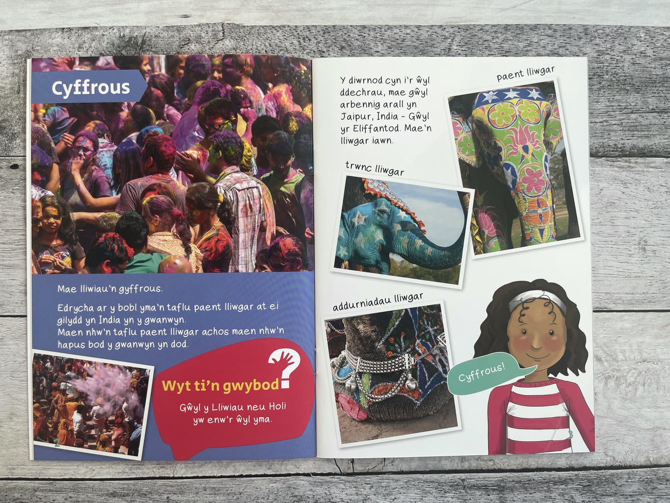 Wyt ti'n gwybod? Amryliw