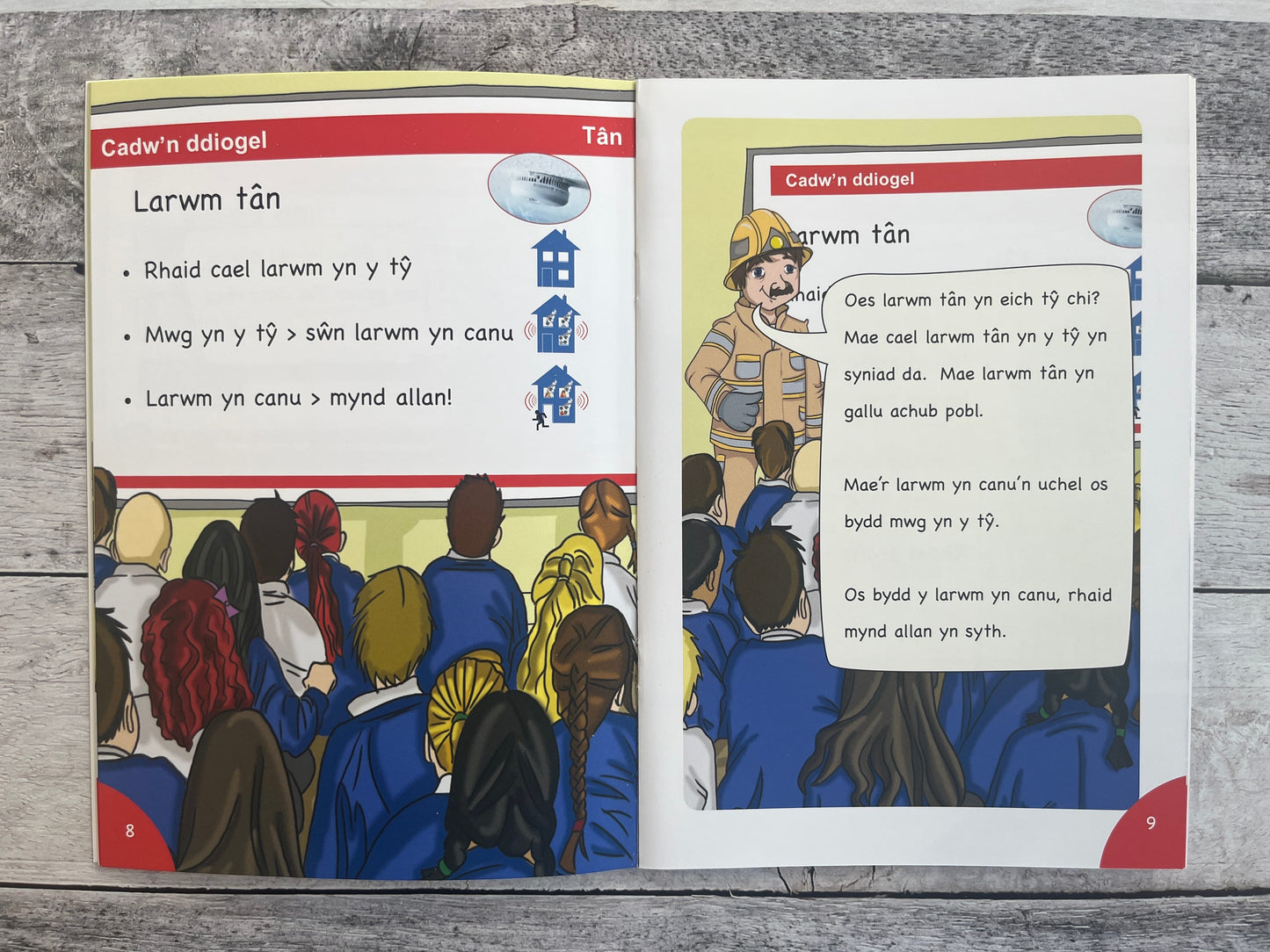 Mêts Maesllan: Dai yn mynd i'r ysgol