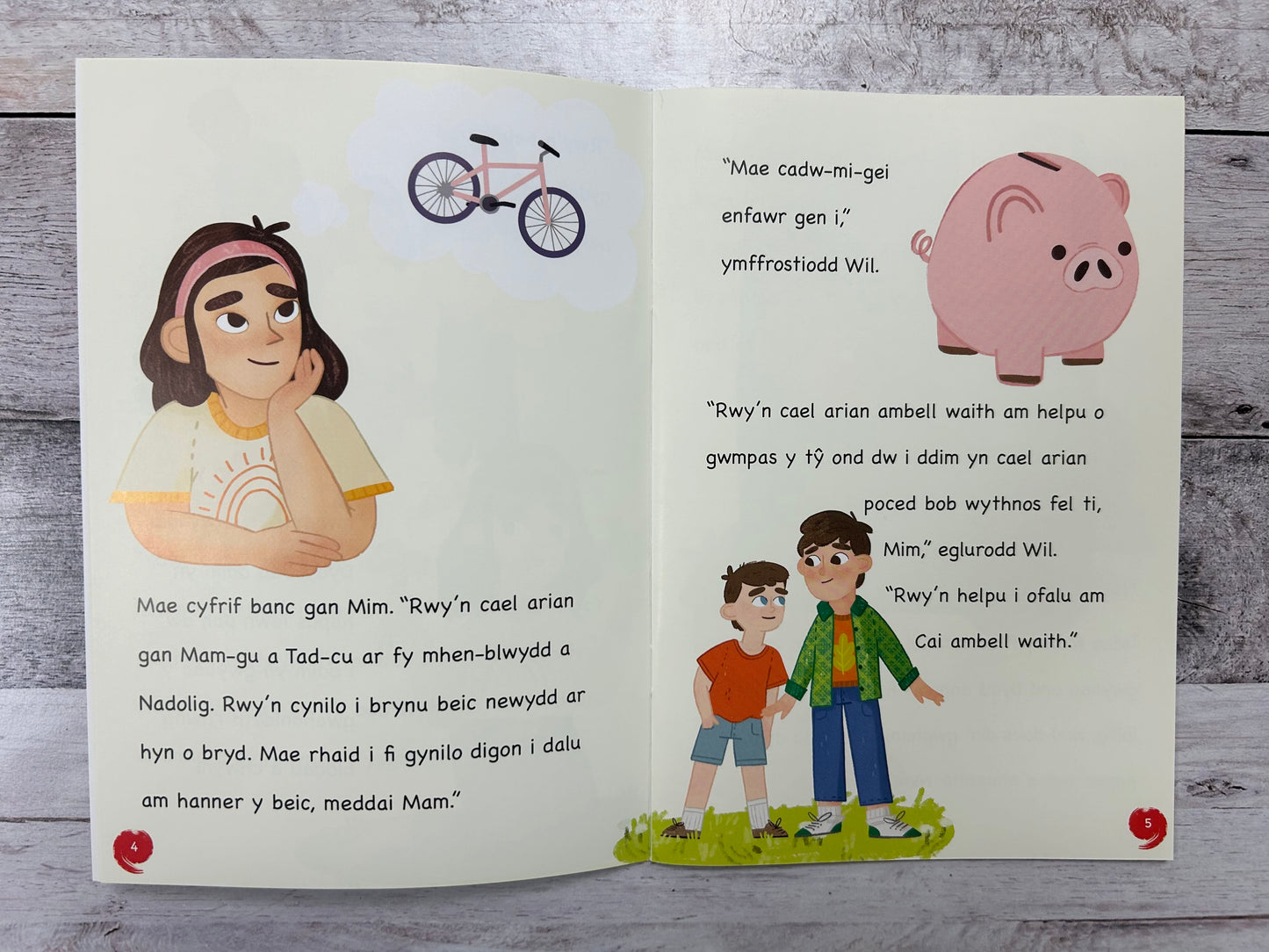 Mêts Maesllan 2: Cynilo