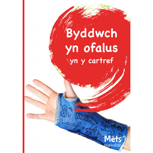 Mêts Maesllan 2: Byddwch yn ofalus yn y Cartref