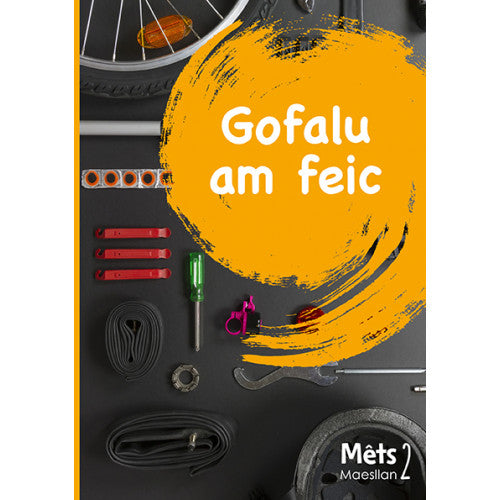Mêts Maesllan 2: Gofalu am feic