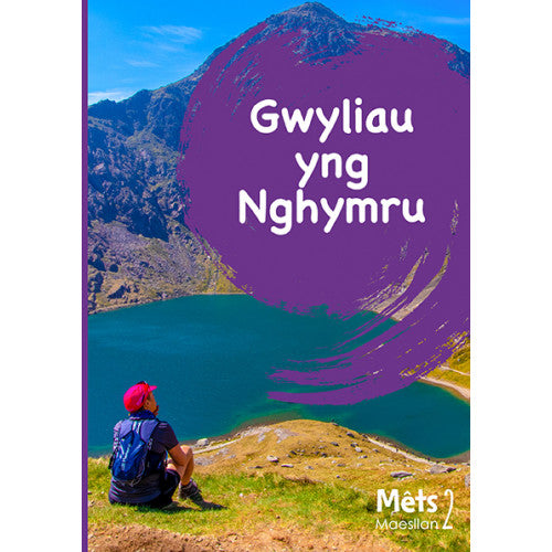 Mêts Maesllan 2: Gwyliau yng Nghymru