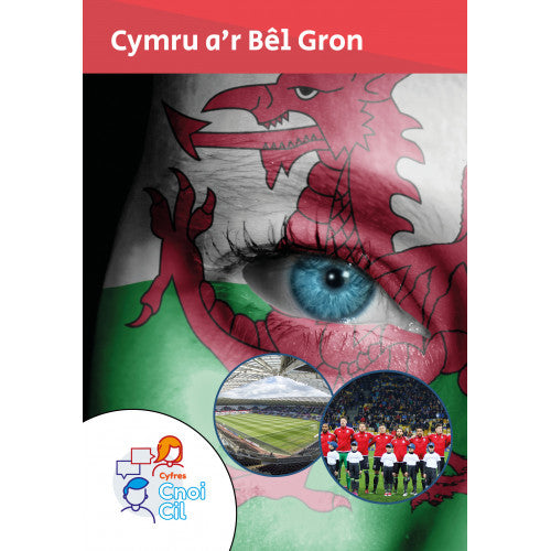 Cnoi Cil: Cymru a'r Bêl Gron