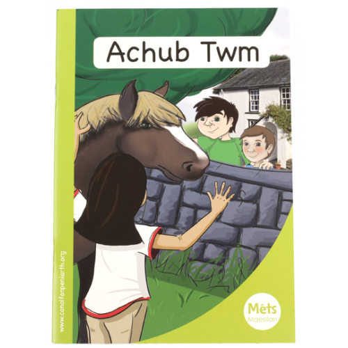 Mêts Maesllan: Achub Twm