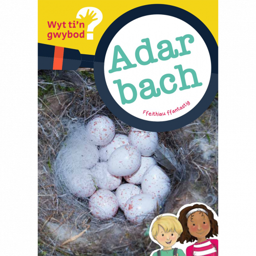 Wyt ti'n gwybod? Adar bach