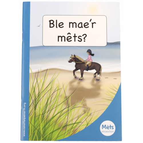 Mêts Maesllan: Ble mae'r mêts?