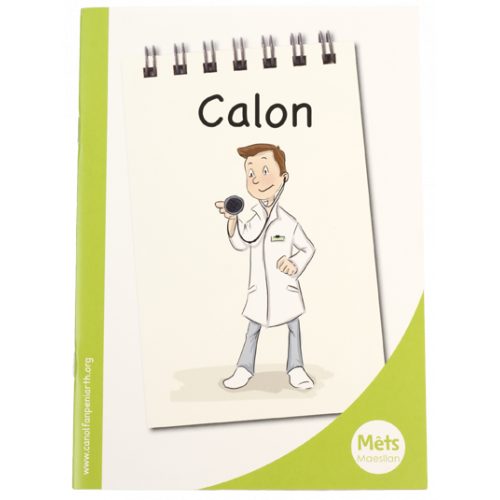 Mêts Maesllan: Calon