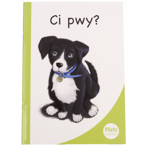 Mêts Maesllan: Ci pwy?