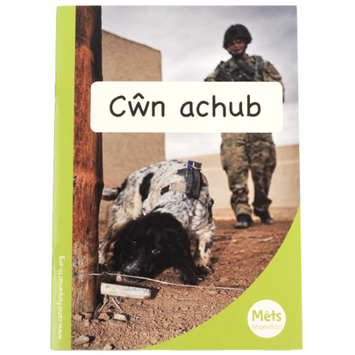 Mêts Maesllan: Cŵn achub