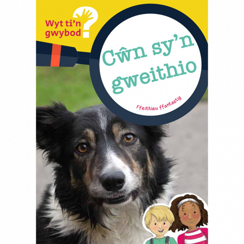 Wyt ti'n Gwybod? Cŵn sy'n gweithio