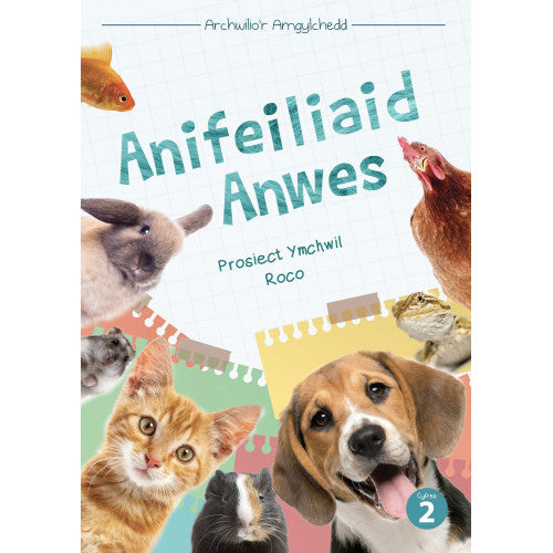 Anifeiliaid Anwes