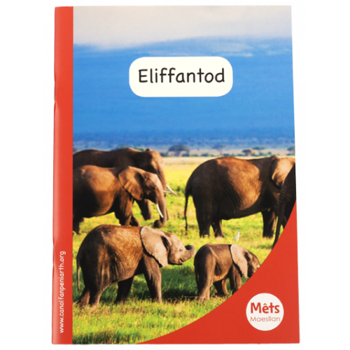 Mêts Maesllan: Eliffantod