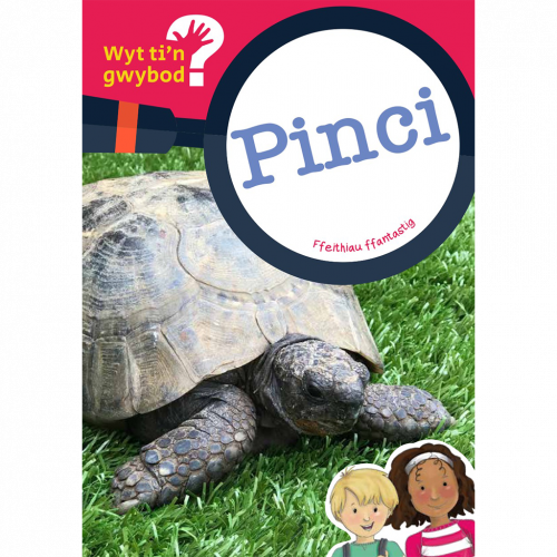 Wyt ti'n Gwybod? Pinci