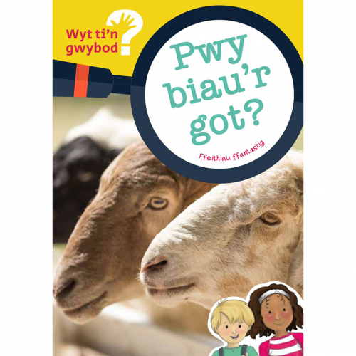 Wyt ti'n Gwybod? Pwy biau'r got