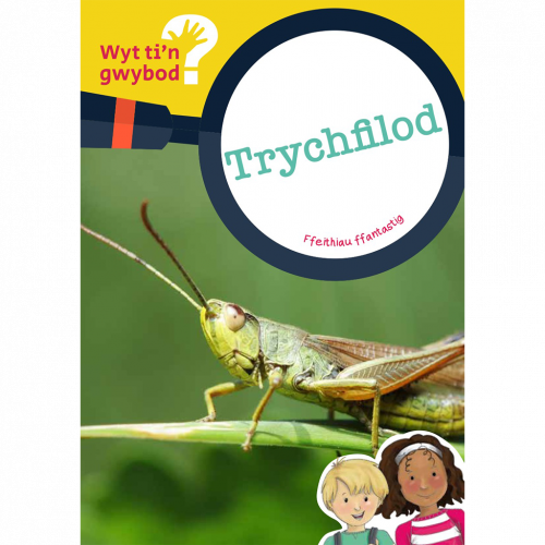 Wyt ti'n Gwybod? Trychfilod