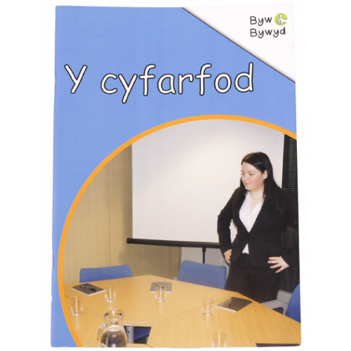 Byw Bywyd - Y cyfarfod