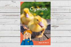 Delwedd ar gyfer Cywion (cam 3) / Image for Cywion (cam 3)