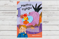 Delwedd ar gyfer Methu cysgu (cam 3) / Image for Methu cysgu (cam 3)