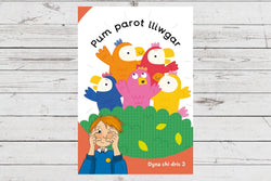Delwedd ar gyfer Pum parot lliwgar (cam 3) / Image for Pum parot lliwgar (cam 3)