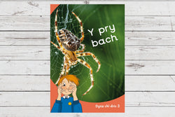 Delwedd ar gyfer Y pry bach (cam 3) / Image for Y pry bach (cam 3)