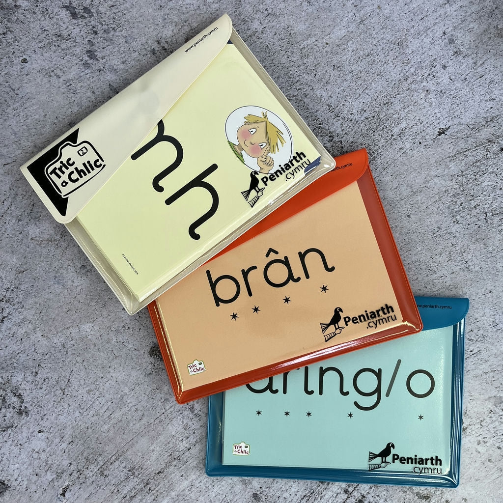 Tric a Chlic Step 2 - Set of A5 Cards (English-medium schools version)