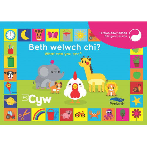 Beth welwch chi? | What can you see?