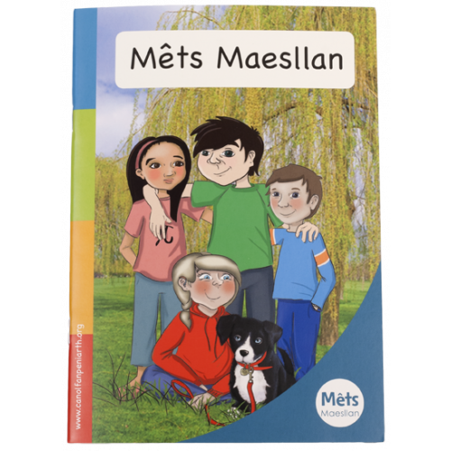Mêts Maesllan: Introductory book