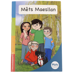 Delwedd ar gyfer Mêts Maesllan: Llyfr Cyflwyniadol / Image for Mêts Maesllan: Introductory Book